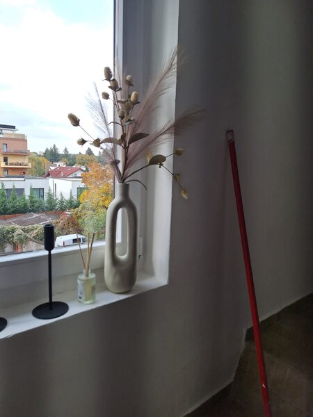 Jolie Ville, Erou Iancu Nicolae