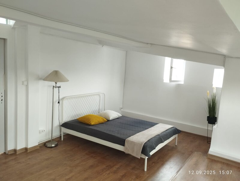 Jolie Ville, Erou Iancu Nicolae