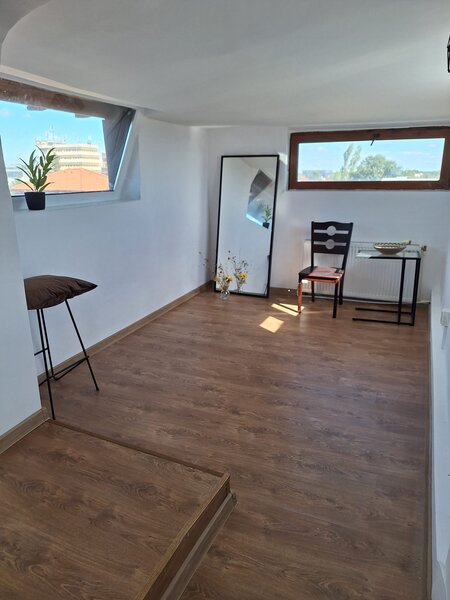 Jolie Ville, Erou Iancu Nicolae